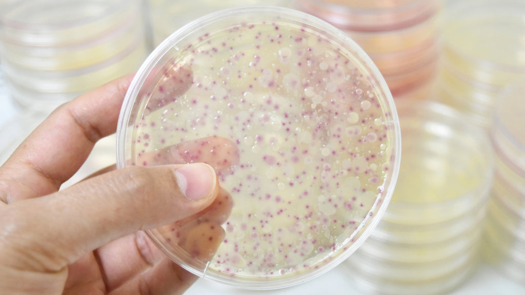 Forskellige bakterier til forskellige hudproblemer